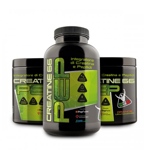 CREATINE PEP 66 Creatina Peptide 